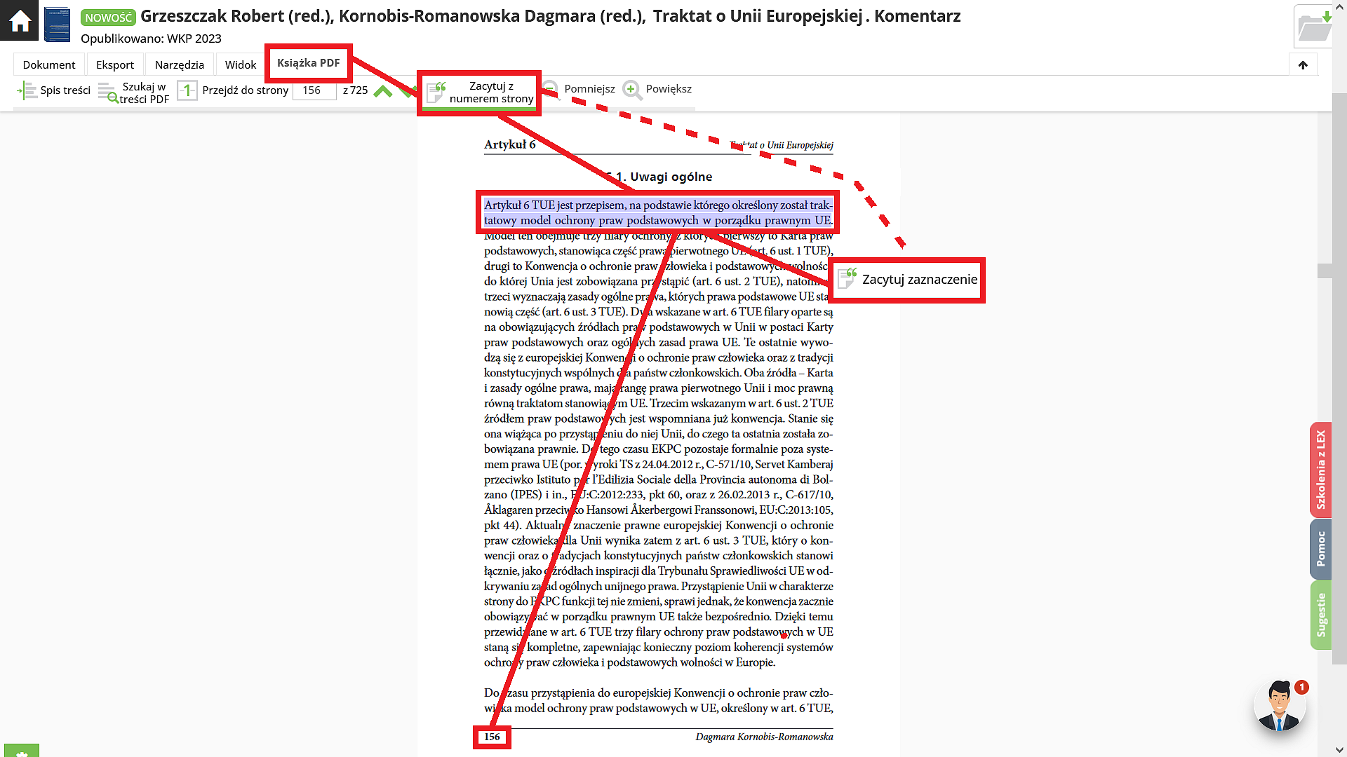 Prezentacja opcji książka PDF