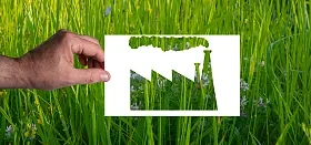 Greenwashing: czym jest i co na to prawo UE i prawo polskie?