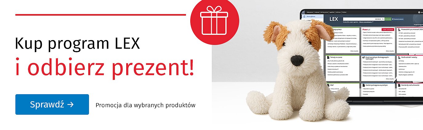 Promocje miesiąca
