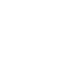 flex_ico_2